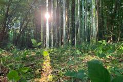 IMG-20240228-WA0046