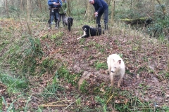 Willow-planting-SSCG-Feb-2020-01-2