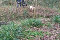 Willow-planting-SSCG-Feb-2020-01