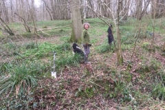 Willow-planting-SSCG-Feb-2020