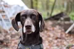 20221126123448_IMG_5030-scaled