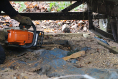 20221126124939_IMG_5038-scaled