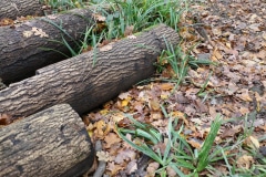 20221126142844_IMG_5086-scaled