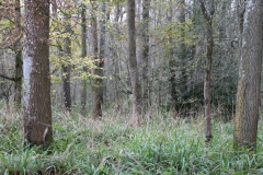 20221126142855_IMG_5087-scaled