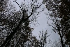 20221126142908_IMG_5088-scaled